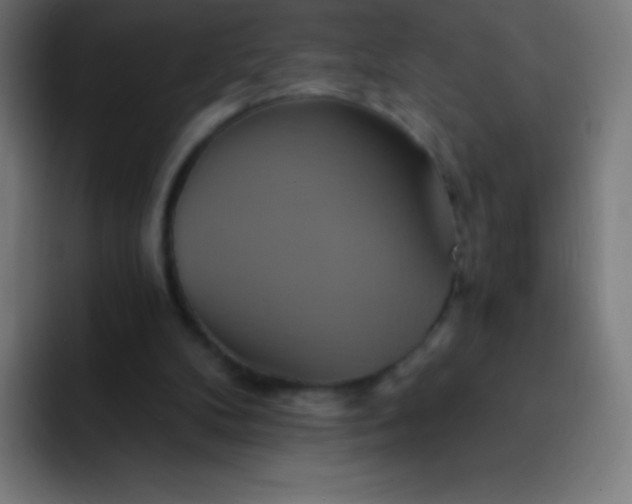 X0000093240104200710101429
