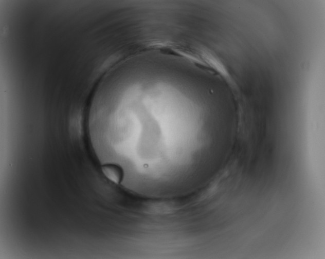X0000093240106200710101429
