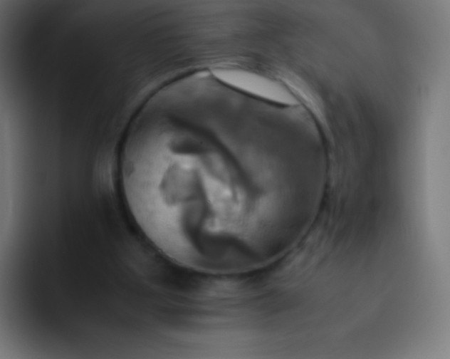X0000093240107200710101429