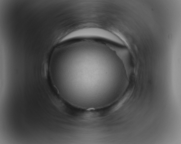 X0000093240109200710101429