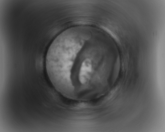 X0000093240111200710101429