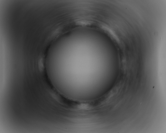 X0000093240114200710101429