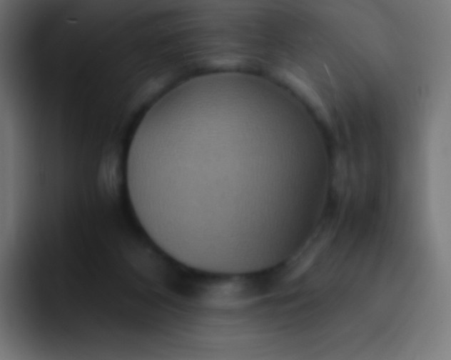 X0000093240116200710101429