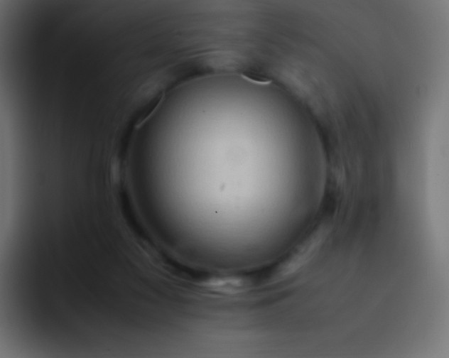 X0000093240117200710101429