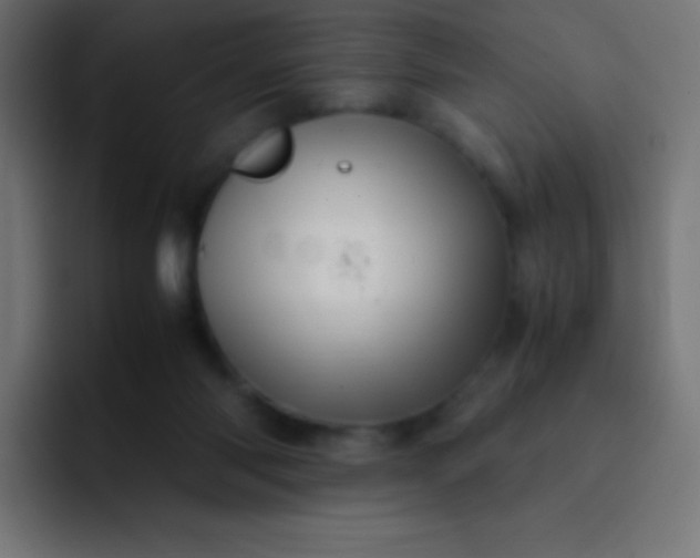 X0000093240118200710101429