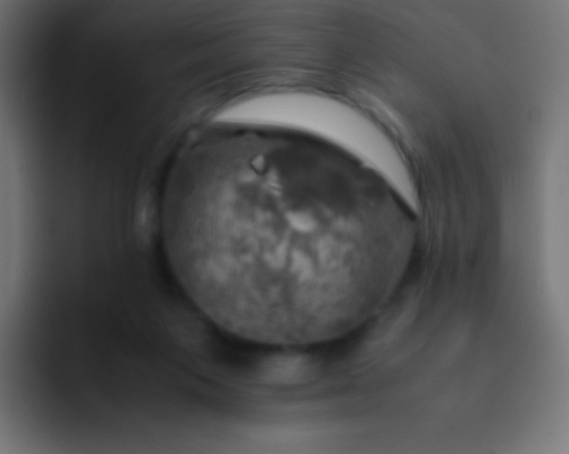 X0000093240119200710101429