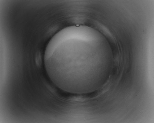X0000093240120200710101429