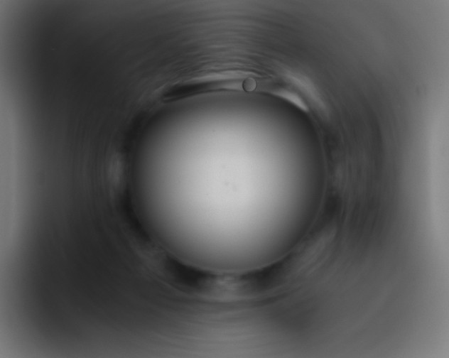 X0000093240121200710101429