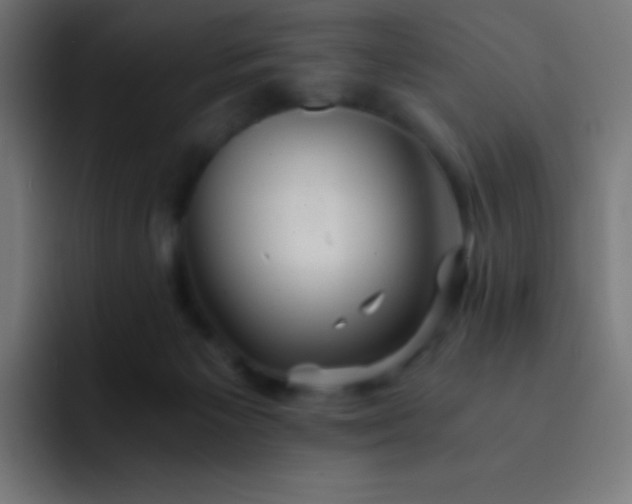 X0000093240125200710101429