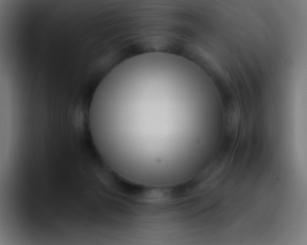 X0000093240126200710101429