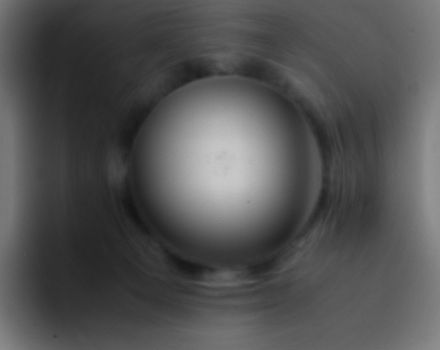 X0000093240129200710101429