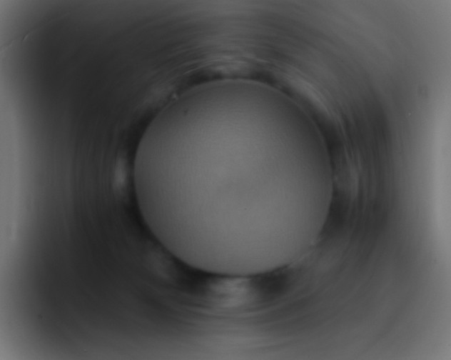X0000093240132200710101429
