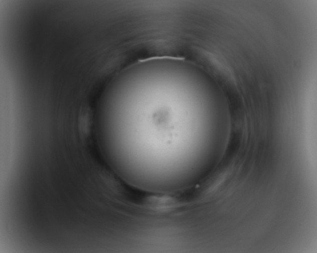 X0000093240133200710101429