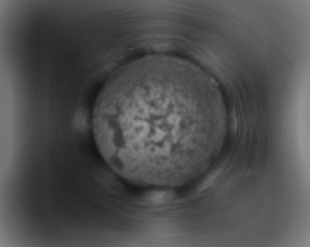 X0000093240135200710101429