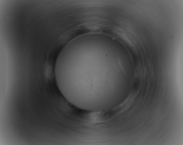 X0000093240136200710101429