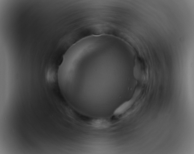 X0000093240137200710101429