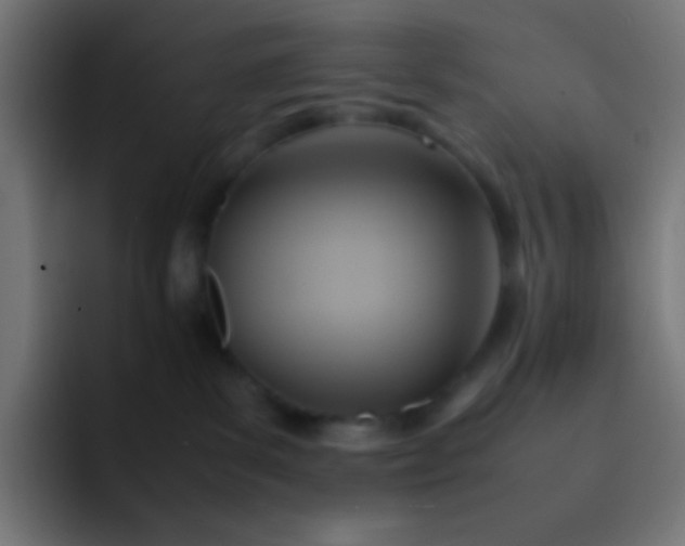 X0000093240139200710101429
