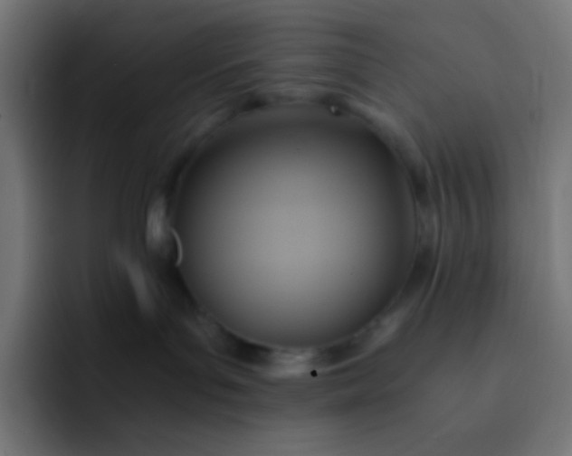 X0000093240143200710101429