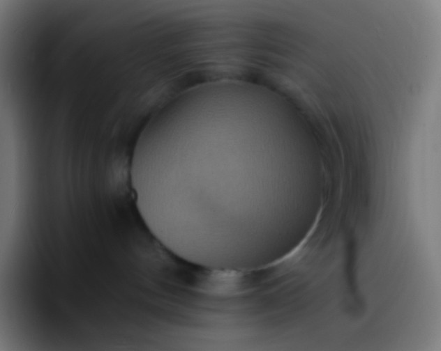 X0000093240144200710101428