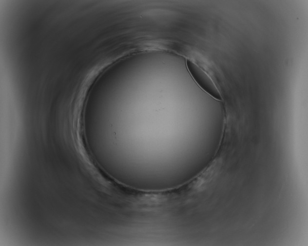 X0000093240145200710101428