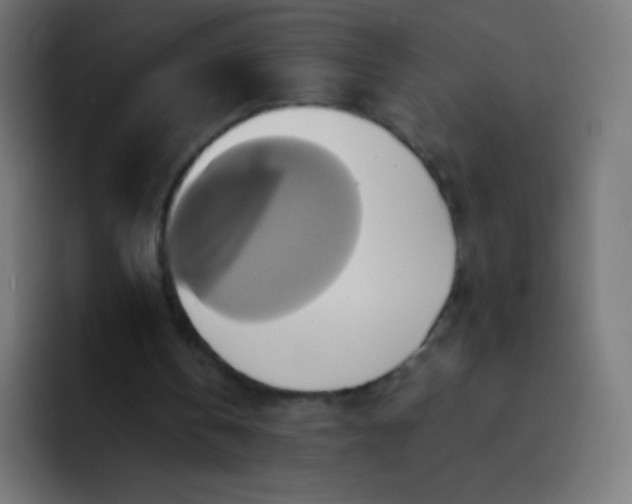 X0000093240146200710101428
