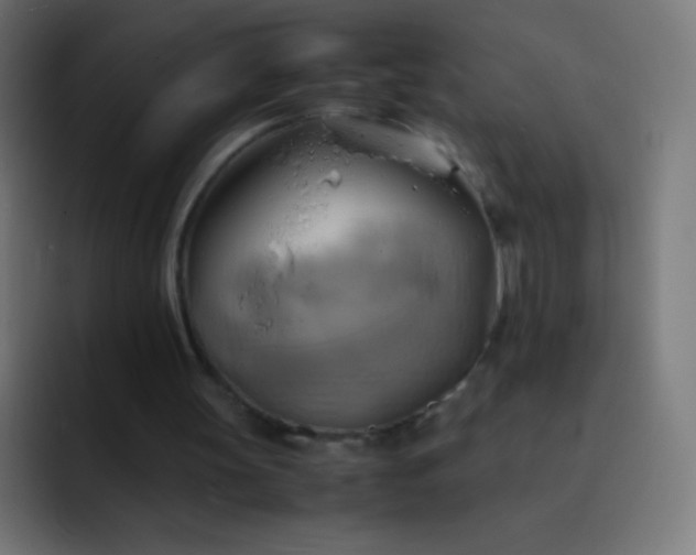X0000093240147200710101428