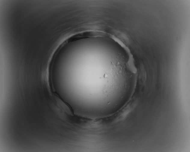 X0000093240148200710101428