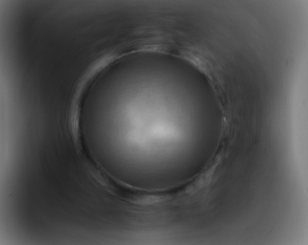 X0000093240149200710101428