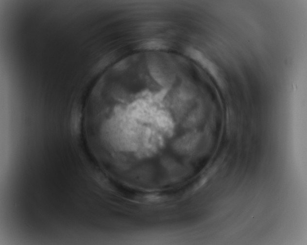 X0000093240153200710101428
