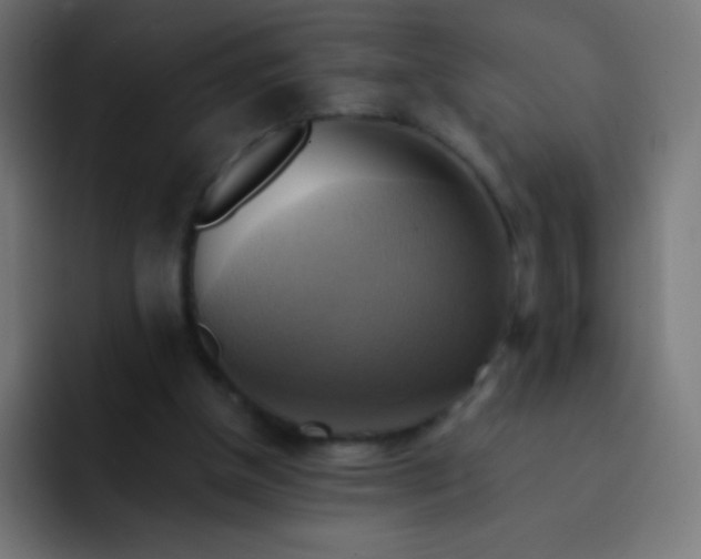 X0000093240154200710101428