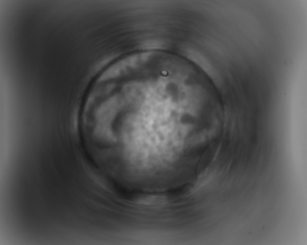 X0000093240155200710101428