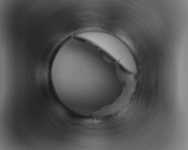 X0000093240156200710101428