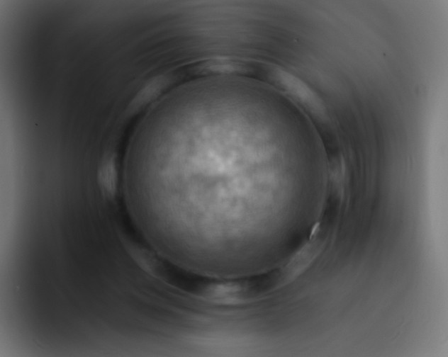 X0000093240158200710101428