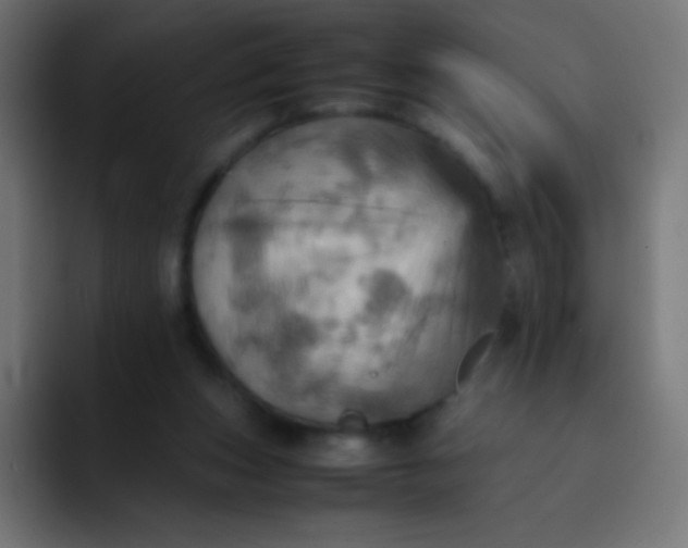 X0000093240159200710101428