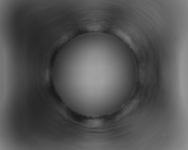 X0000093240161200710101428