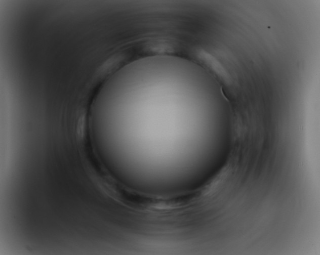 X0000093240163200710101428