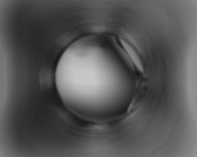 X0000093240164200710101428