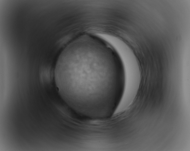 X0000093240168200710101428