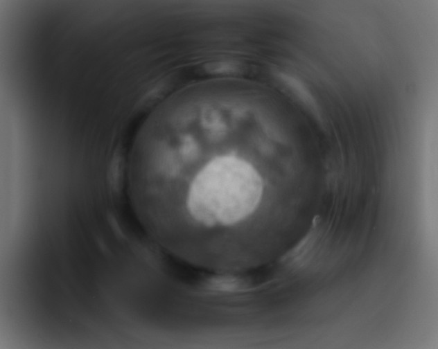 X0000093240171200710101428