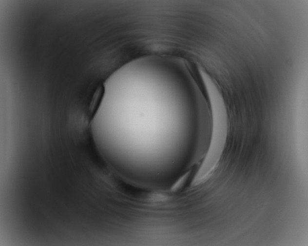 X0000093240176200710101428
