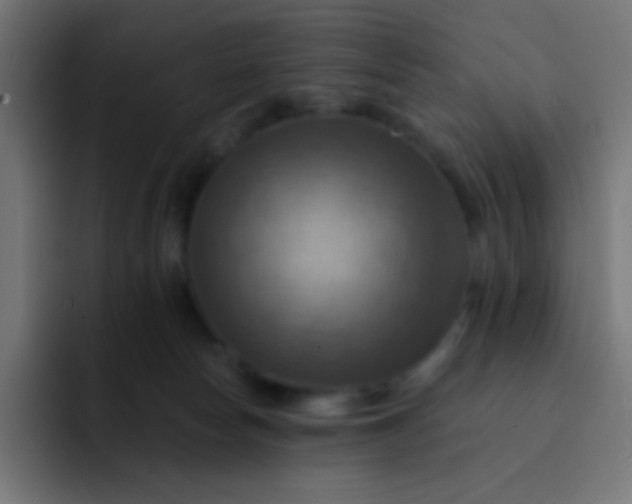 X0000093240178200710101428