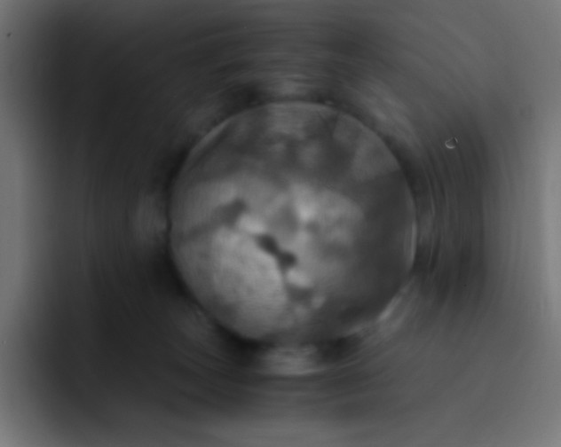X0000093240179200710101428