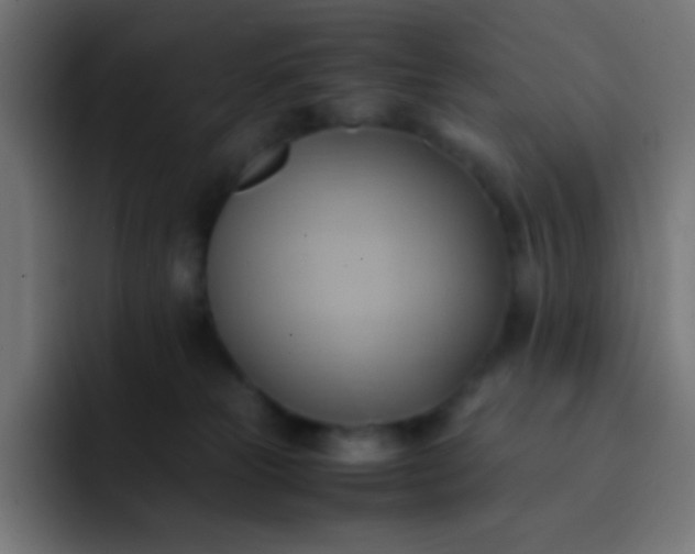 X0000093240181200710101428