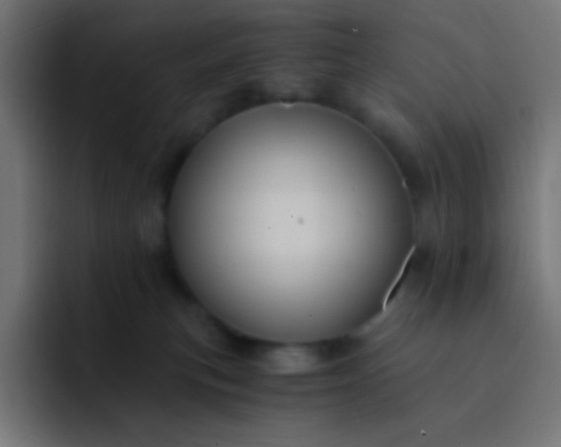 X0000093240183200710101428