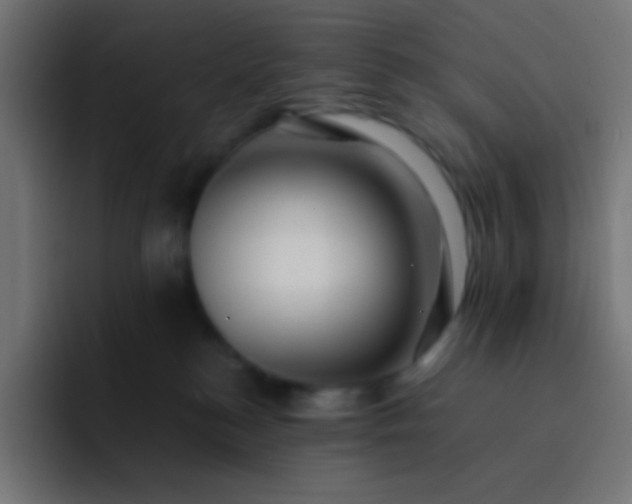 X0000093240184200710101428