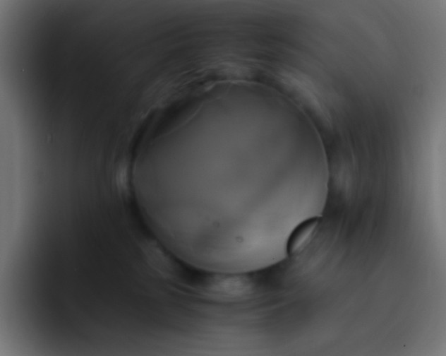 X0000093240185200710101428