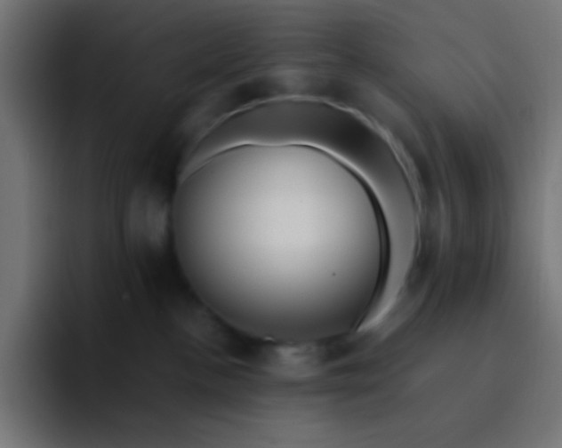 X0000093240188200710101428