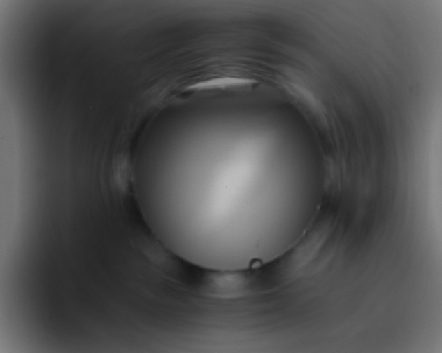 X0000093240189200710101428
