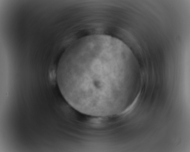 X0000093240190200710101428