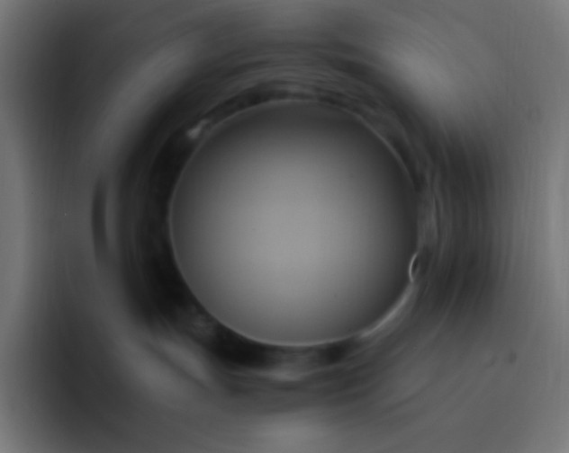 X0000093240191200710101428